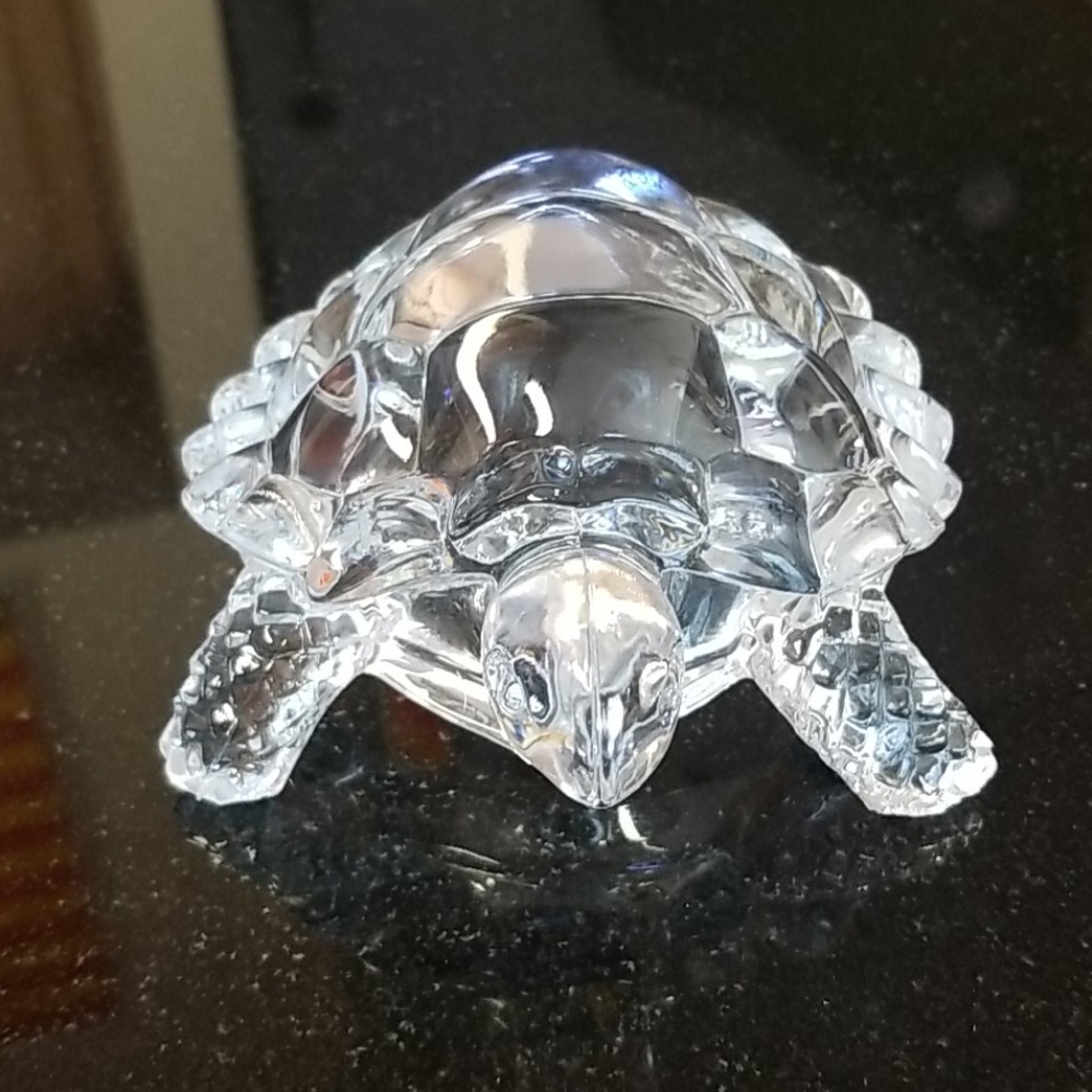 Crystal Turtle - Picture 5 of 5